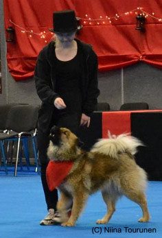 Blueberry Kiss Barcelonnette Blueberry Kiss Barcelonnette