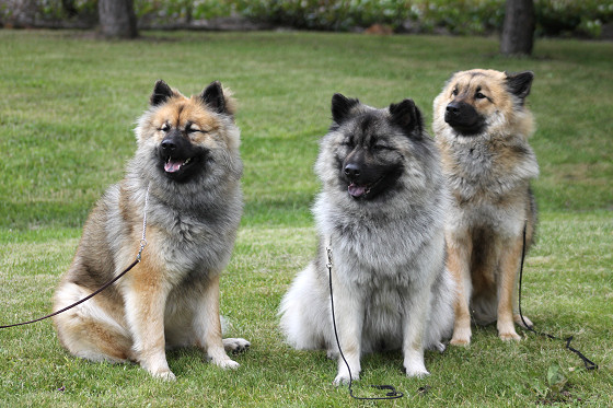 Blueberry Kiss Bayonne, Feuerblick Paris & Blueberry Kiss Barcelonnette Blueberry Kiss Bayonne, Feuerblick Paris & Blueberry Kiss Barcelonnette