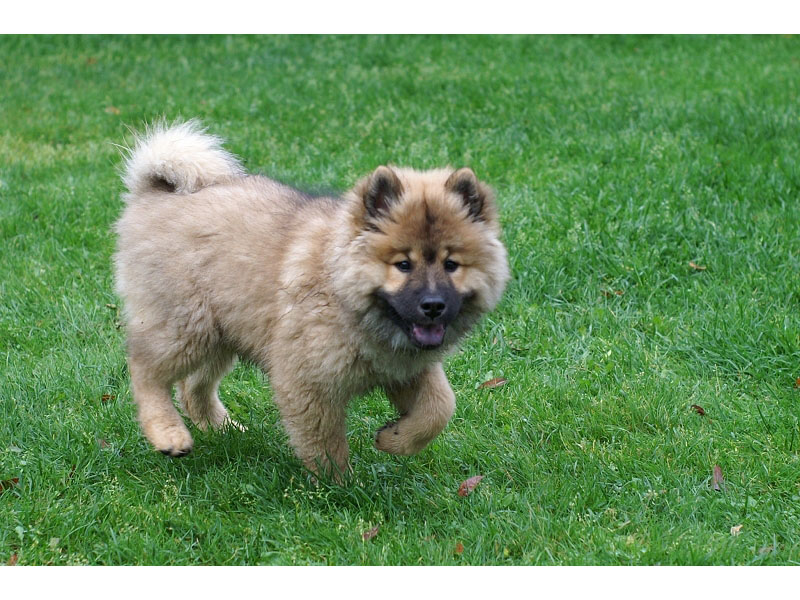 Siirry kuvagalleriaan