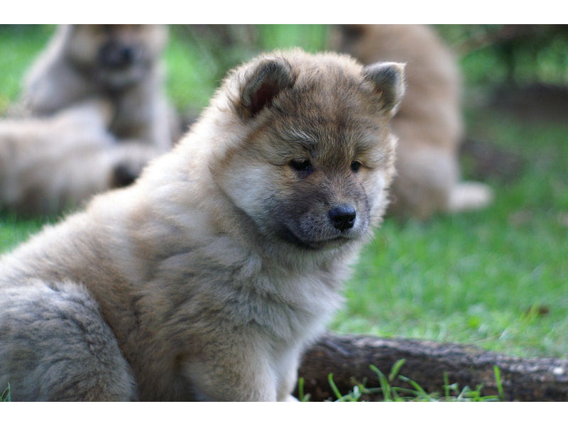 Siirry kuvagalleriaan