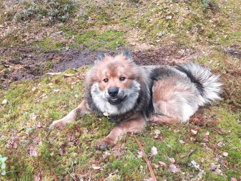 Siirry kuvagalleriaan