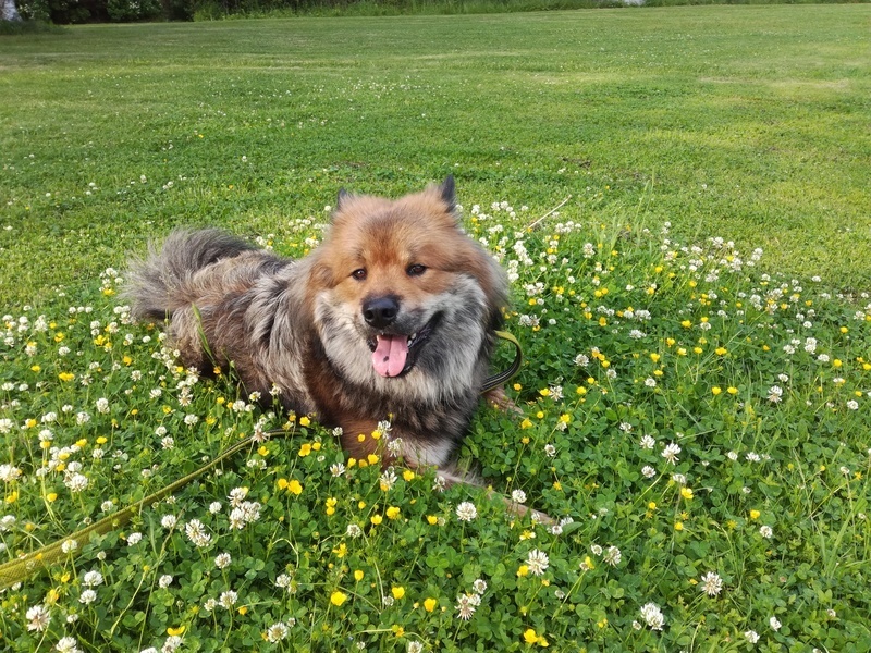 Siirry kuvagalleriaan