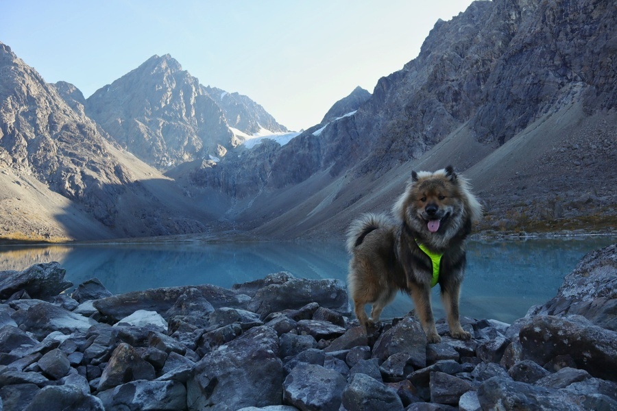 Siirry kuvagalleriaan