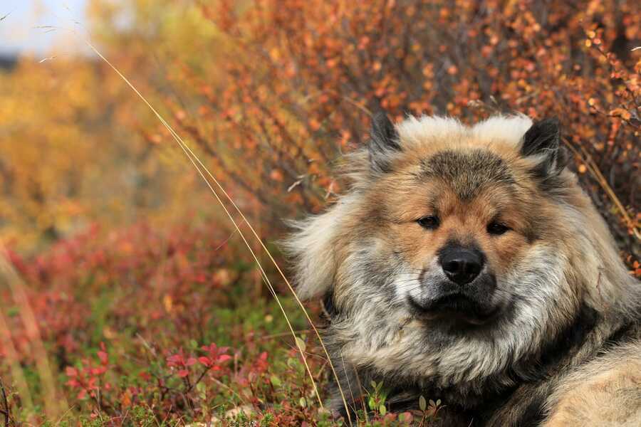 Siirry kuvagalleriaan