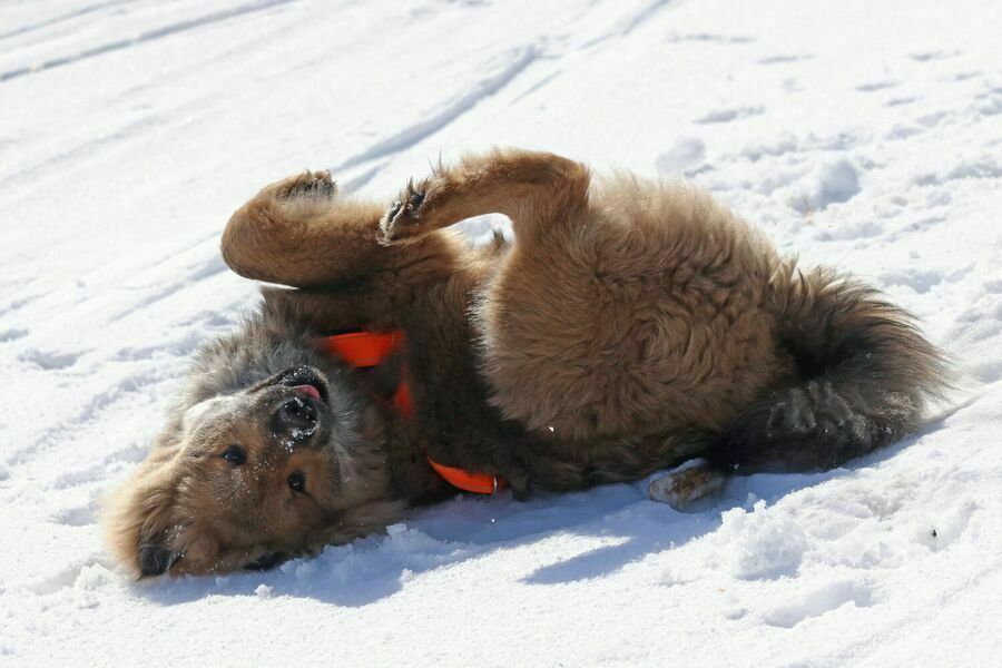 Siirry kuvagalleriaan