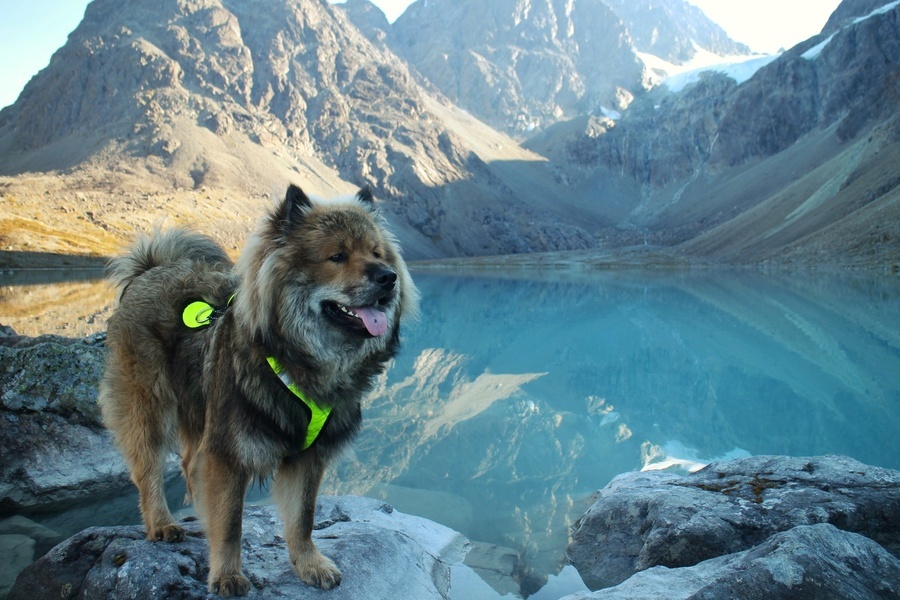 Siirry kuvagalleriaan