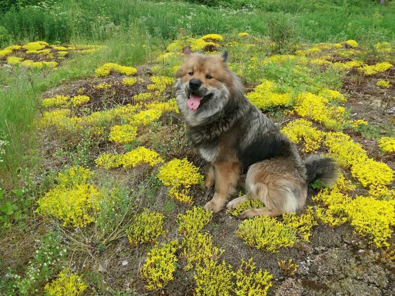 Siirry kuvagalleriaan