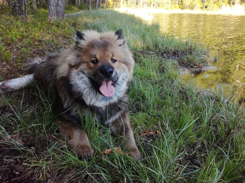 Siirry kuvagalleriaan