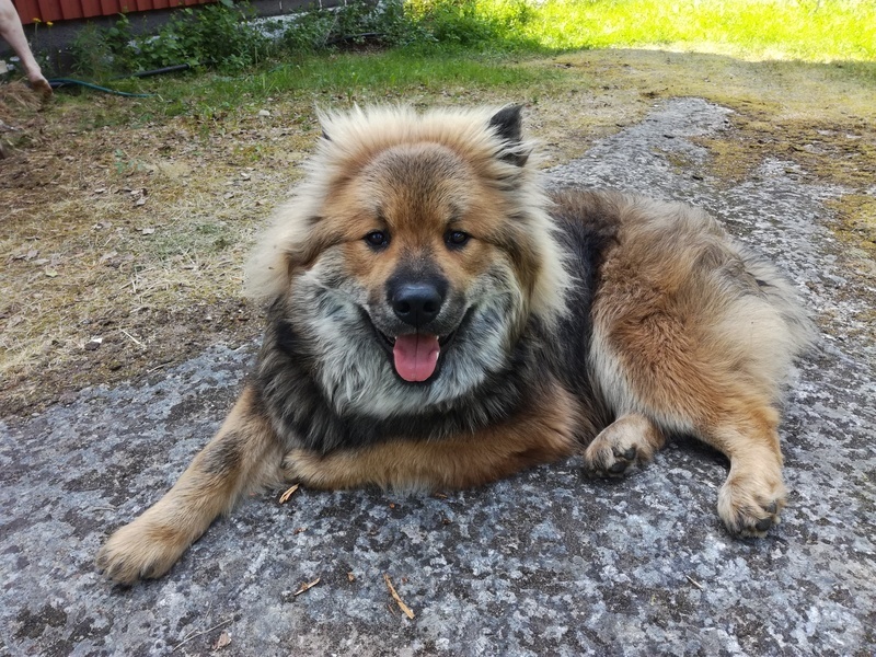 Siirry kuvagalleriaan