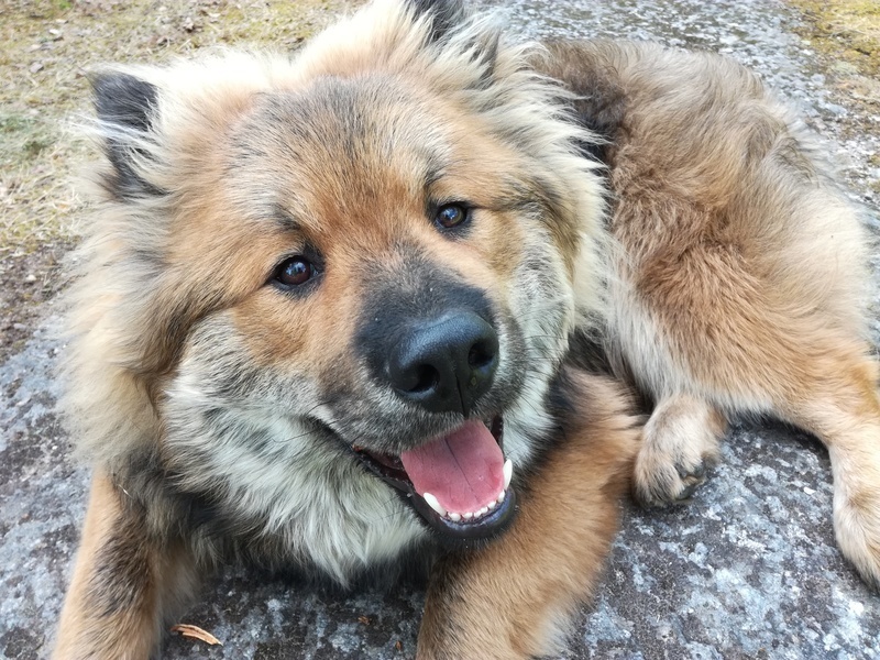 Siirry kuvagalleriaan