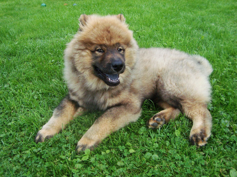 Siirry kuvagalleriaan