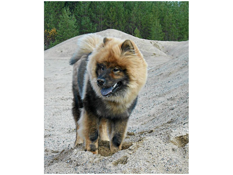 Siirry kuvagalleriaan