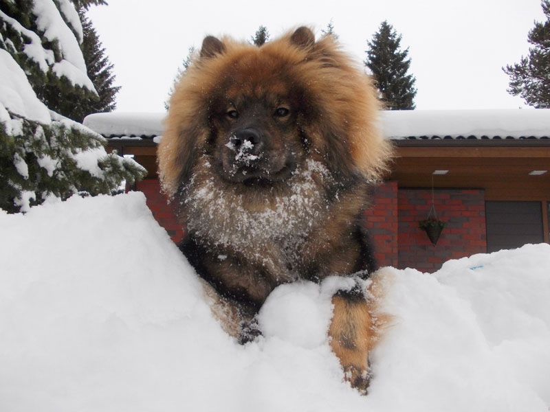 Siirry kuvagalleriaan