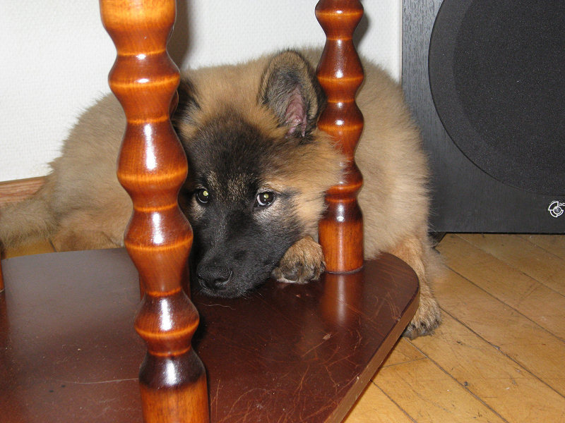 Siirry kuvagalleriaan