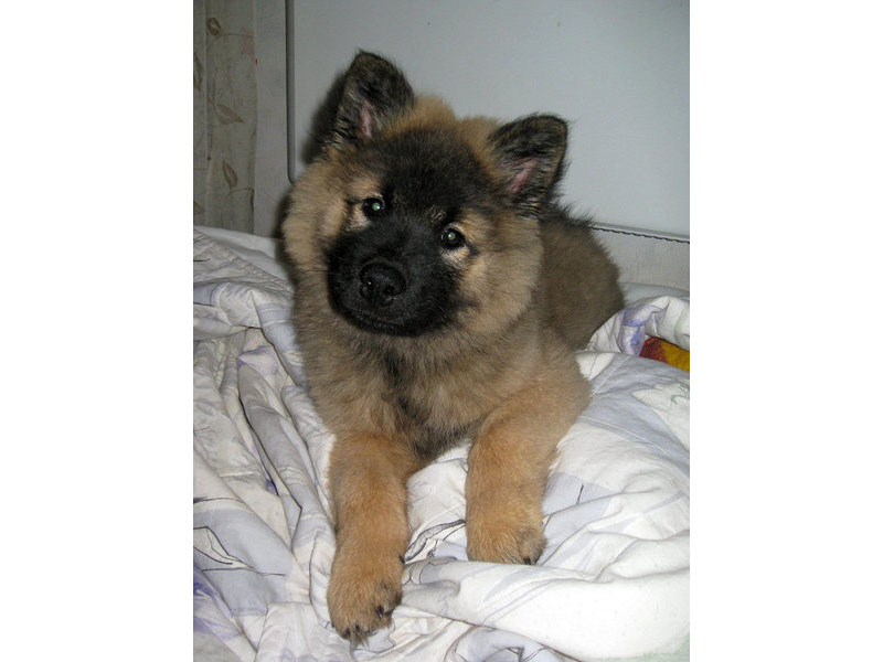 Siirry kuvagalleriaan