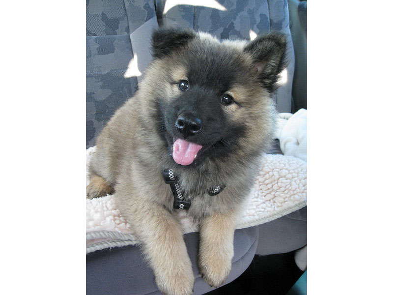 Siirry kuvagalleriaan