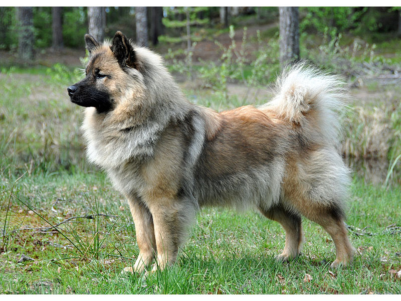 Siirry kuvagalleriaan