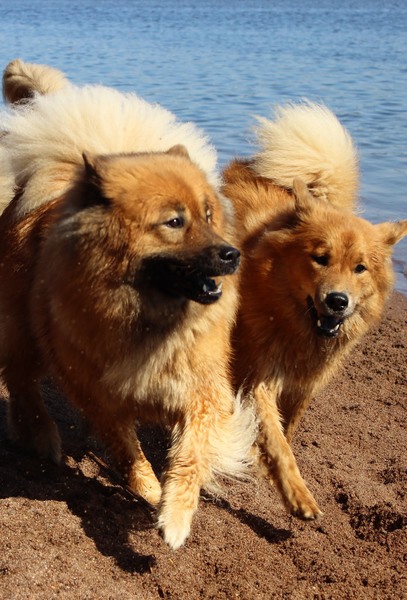 Siirry kuvagalleriaan