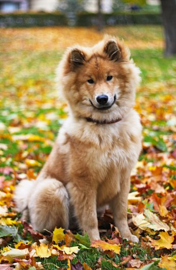 Siirry kuvagalleriaan