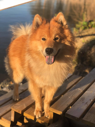 Siirry kuvagalleriaan