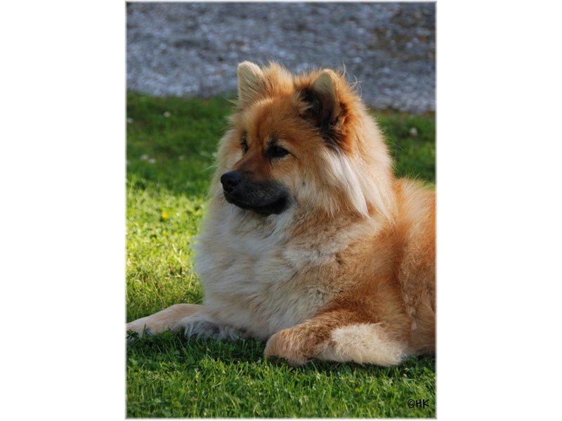 Siirry kuvagalleriaan