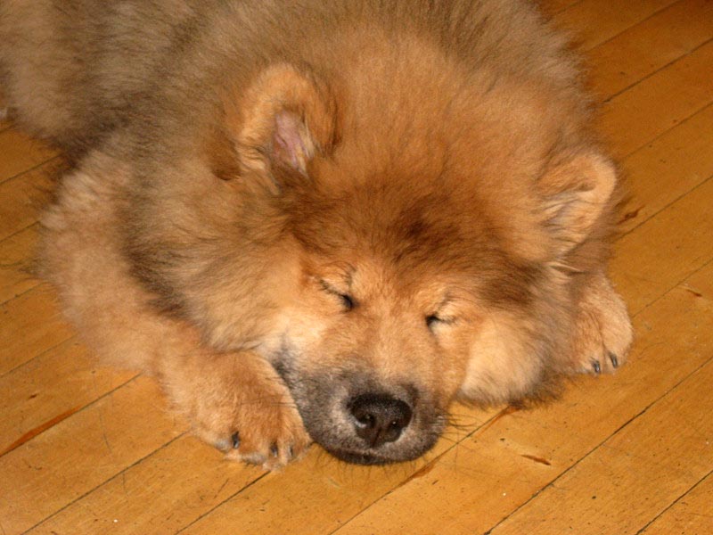 Siirry kuvagalleriaan