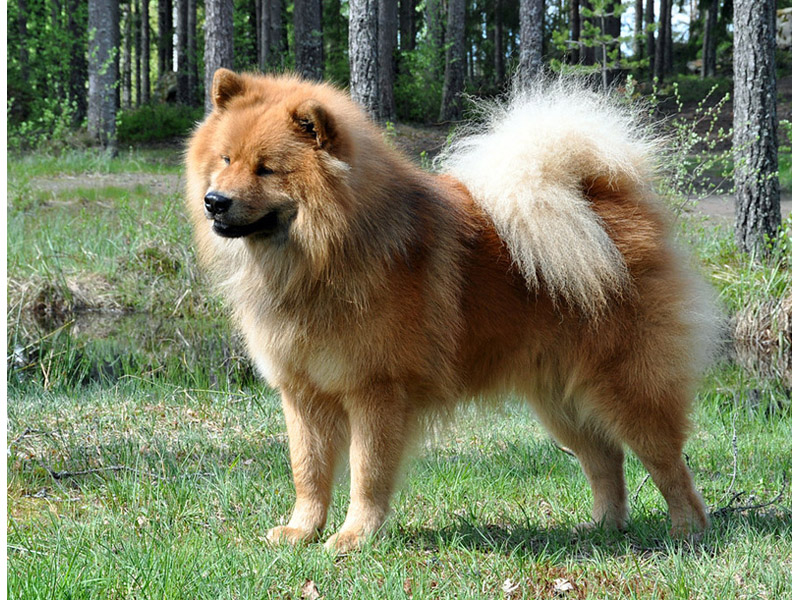 Siirry kuvagalleriaan