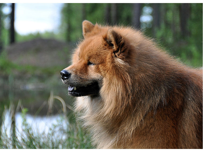 Siirry kuvagalleriaan