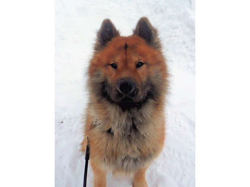 Siirry kuvagalleriaan