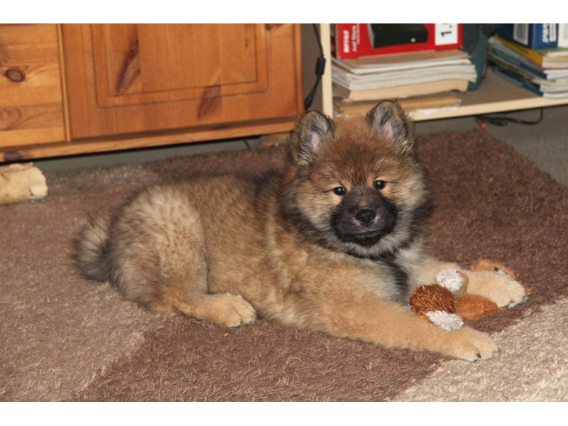 Siirry kuvagalleriaan