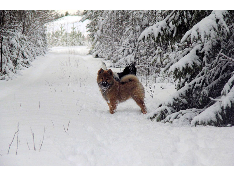 Siirry kuvagalleriaan