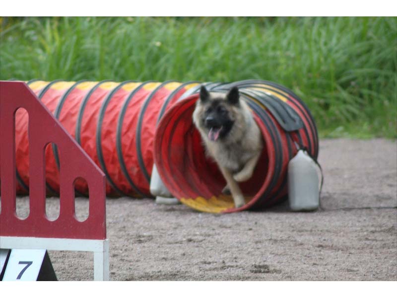 Siirry kuvagalleriaan