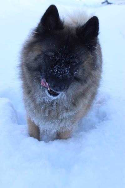 Siirry kuvagalleriaan