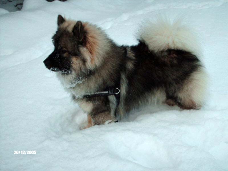 Siirry kuvagalleriaan