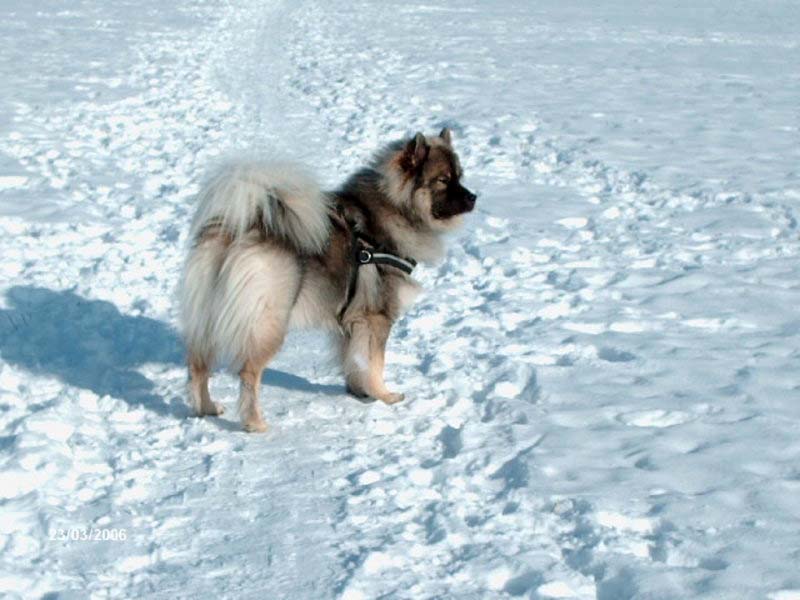 Siirry kuvagalleriaan