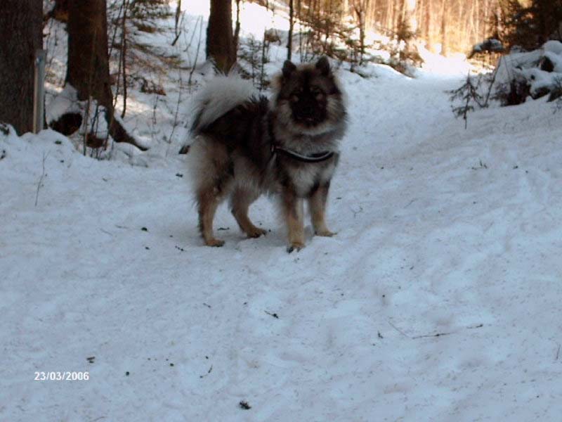 Siirry kuvagalleriaan