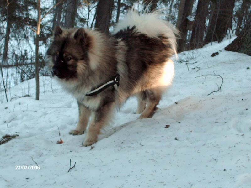 Siirry kuvagalleriaan