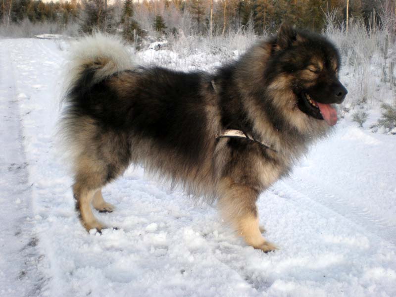 Siirry kuvagalleriaan