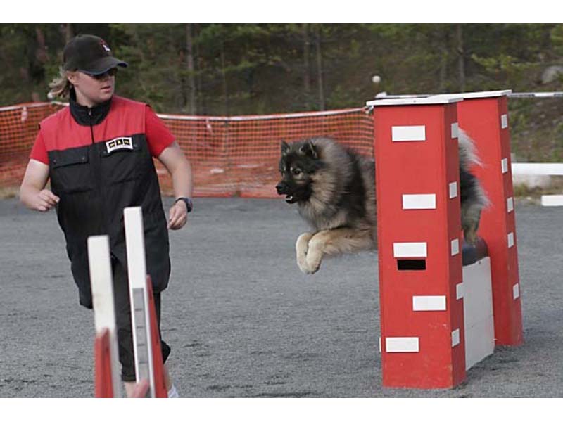 Siirry kuvagalleriaan