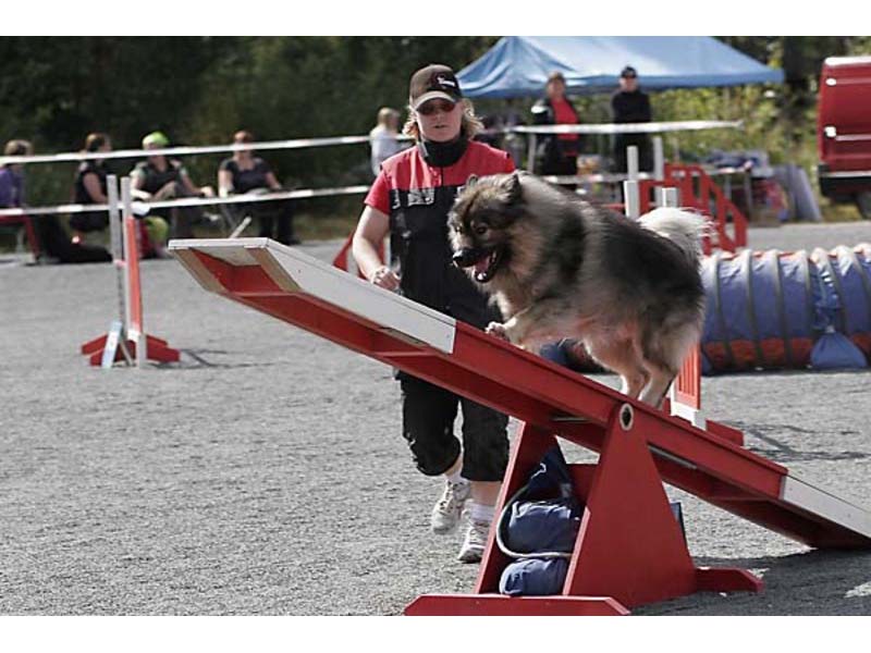 Siirry kuvagalleriaan