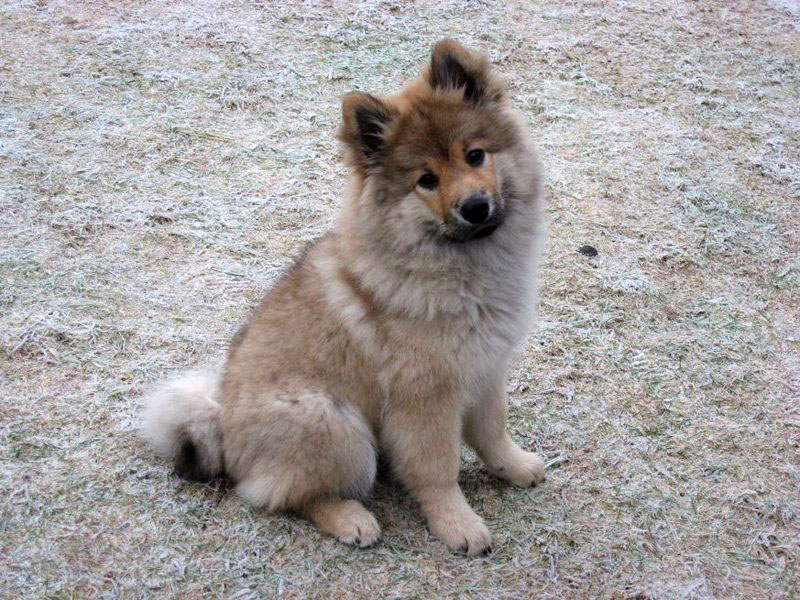 Siirry kuvagalleriaan