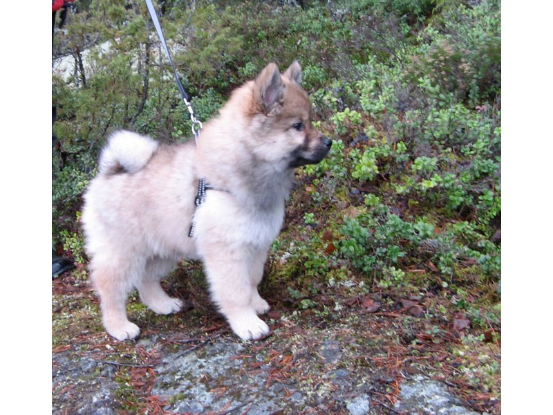 Siirry kuvagalleriaan