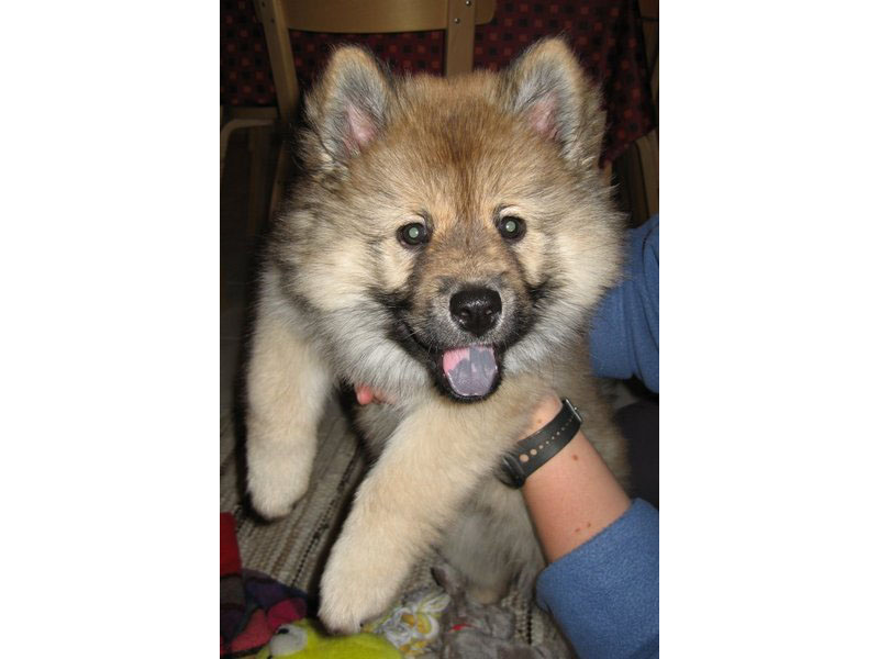 Siirry kuvagalleriaan