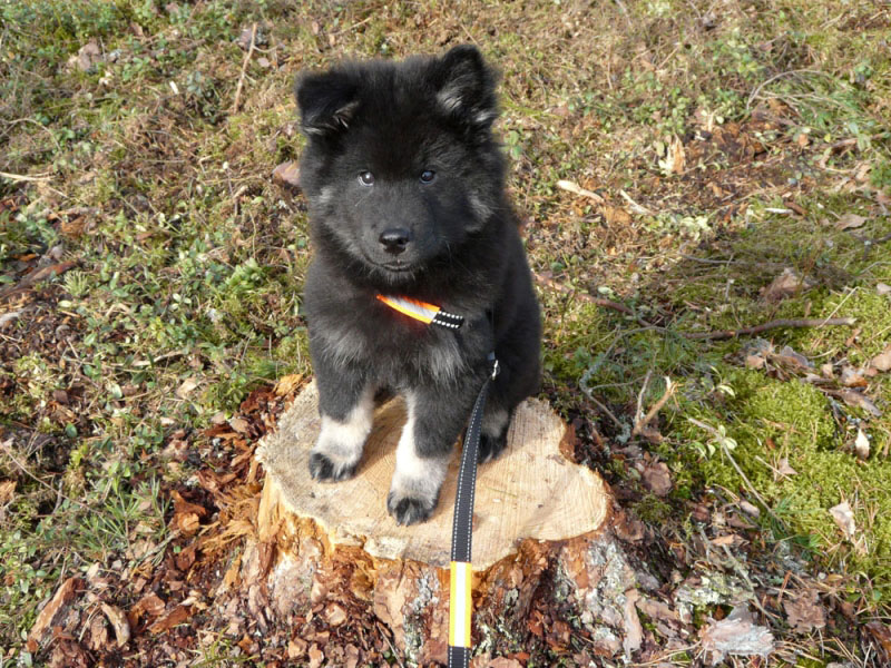 Siirry kuvagalleriaan