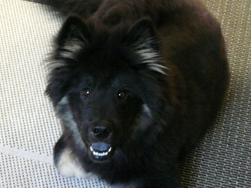 Siirry kuvagalleriaan