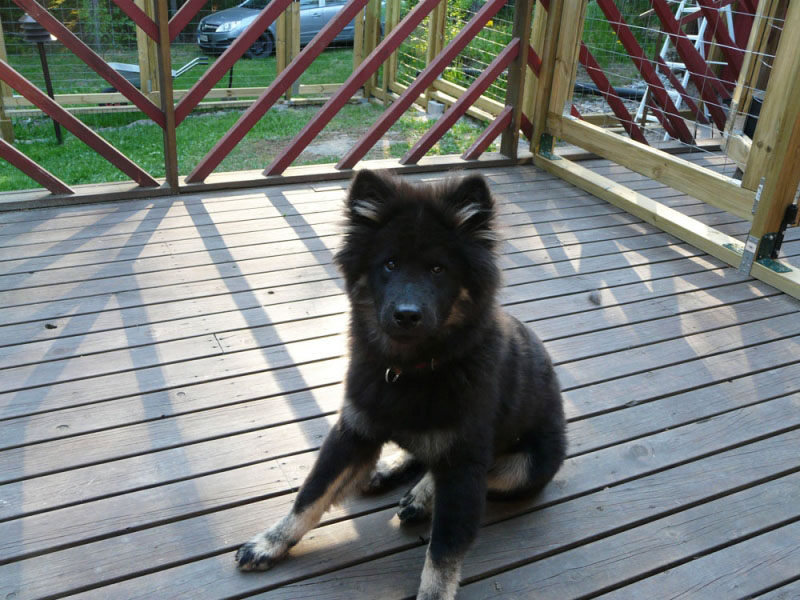 Siirry kuvagalleriaan