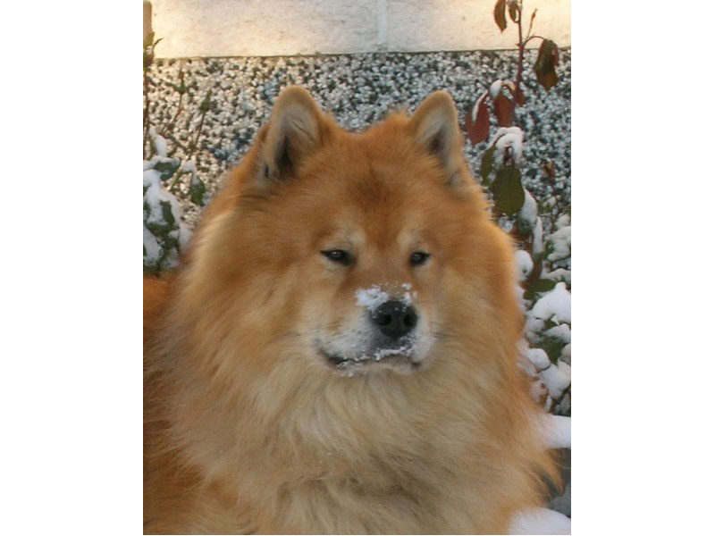 Siirry kuvagalleriaan