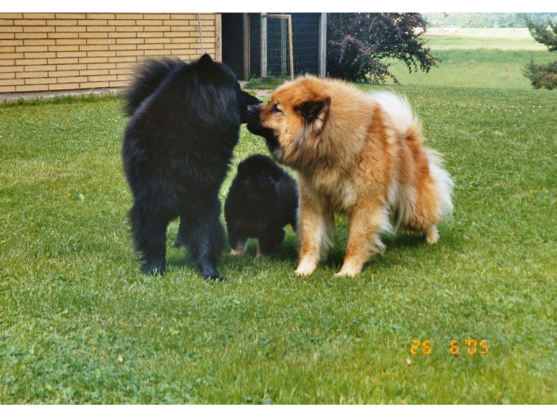 Siirry kuvagalleriaan