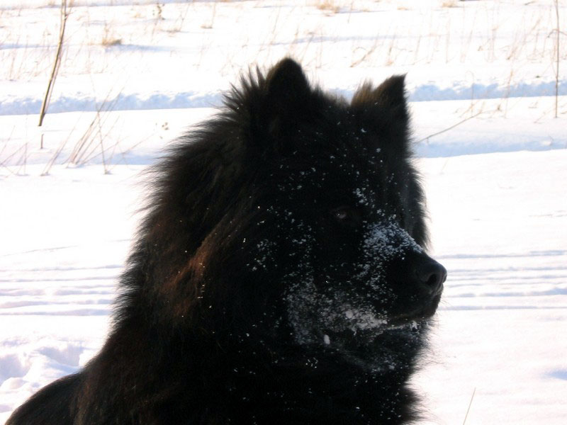 Siirry kuvagalleriaan