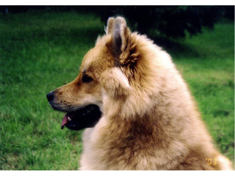 Siirry kuvagalleriaan